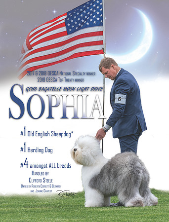 sophia may 2419