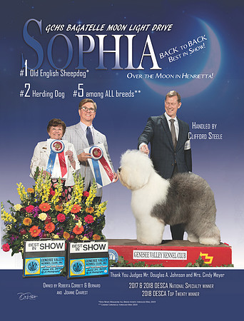 Sophia 62819
