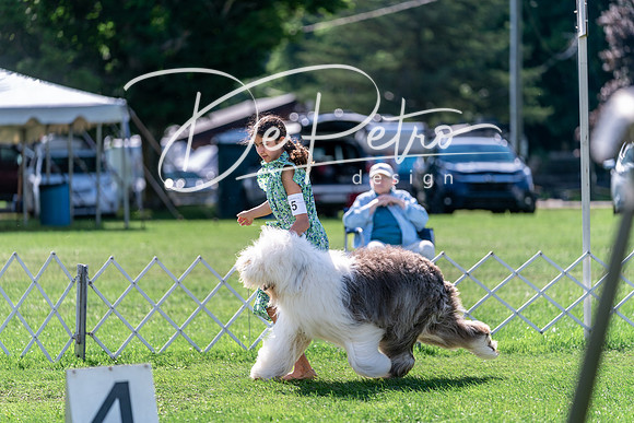 20240630-DSC04737