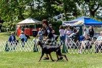 20190609-DSC09383