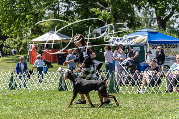 20190609-DSC09383