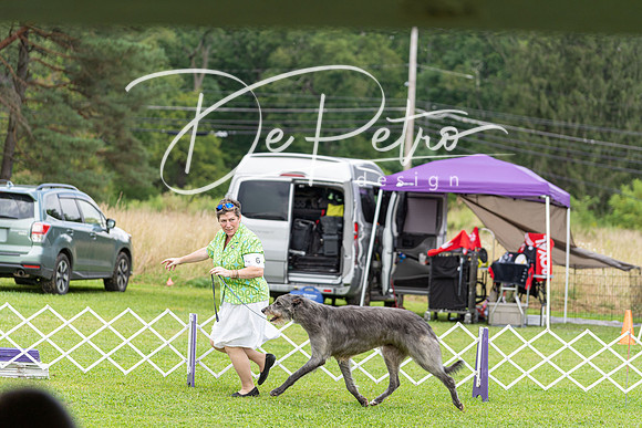20190815-DSC08667