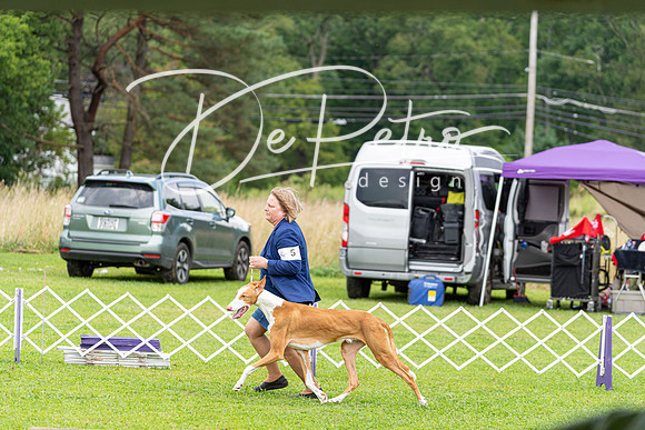 20190815-DSC08672