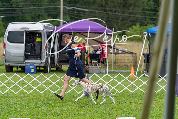 20190815-DSC08693