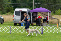 20190815-DSC08695