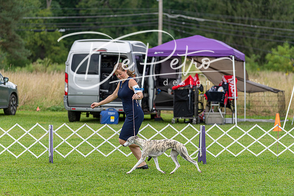 20190815-DSC08695