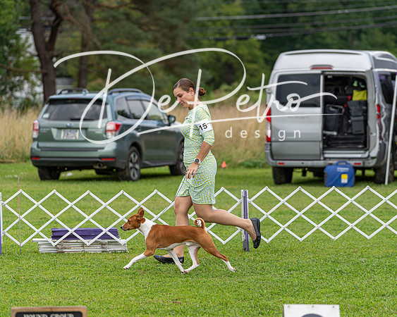 20190815-DSC08699
