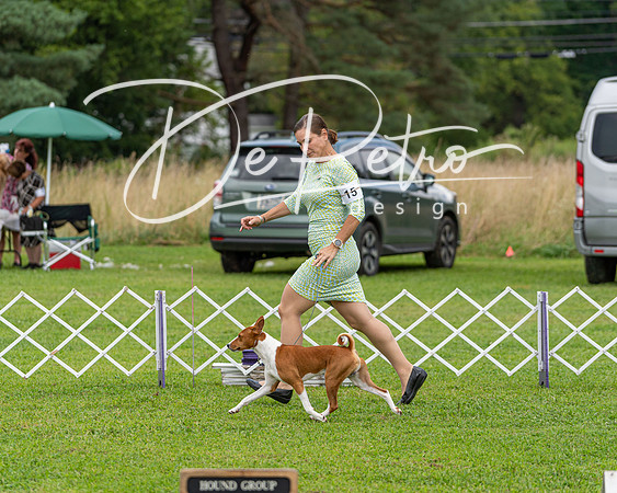 20190815-DSC08701