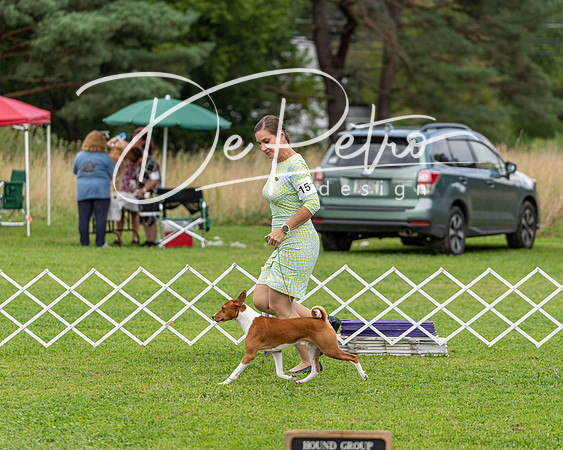 20190815-DSC08703
