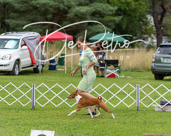 20190815-DSC08706
