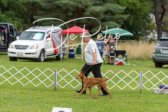 20190815-DSC08714