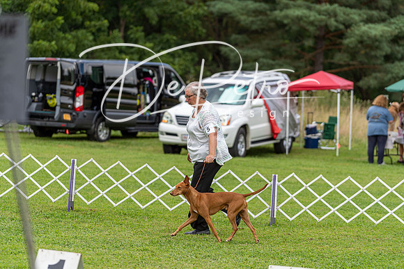 20190815-DSC08719