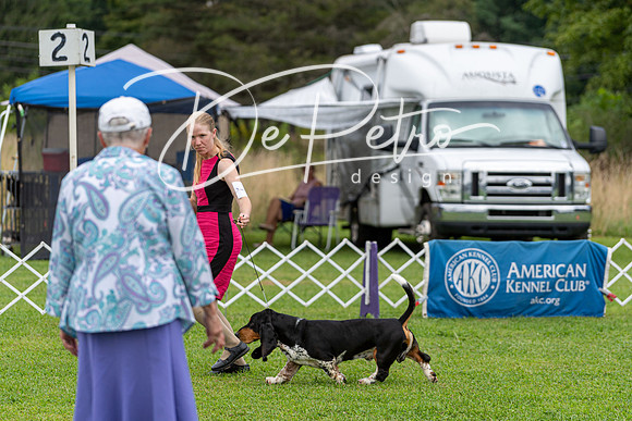 20190815-DSC08733