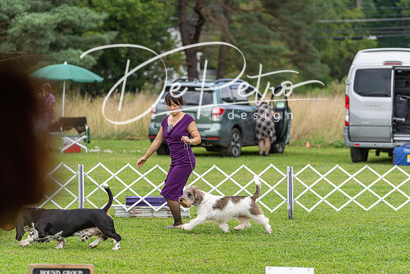 20190815-DSC08755