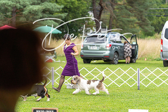 20190815-DSC08757