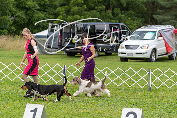 20190815-DSC08763