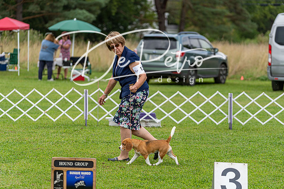 20190815-DSC08782
