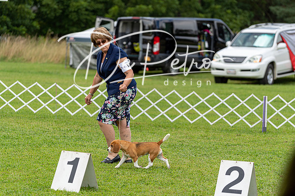 20190815-DSC08793