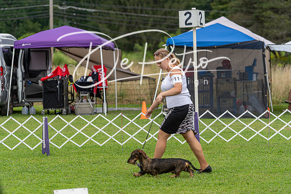 20190815-DSC08809