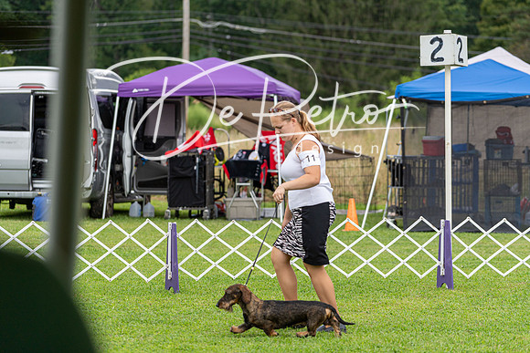 20190815-DSC08812