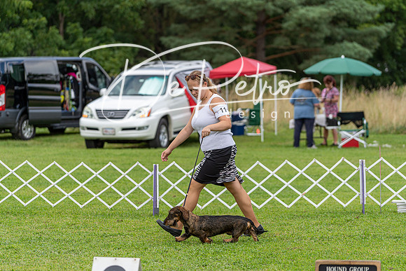 20190815-DSC08821