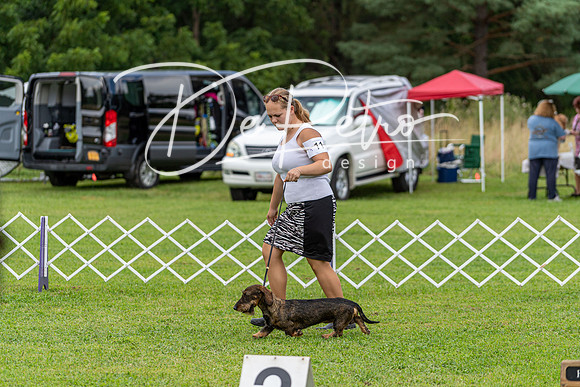 20190815-DSC08824