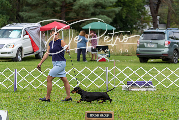 20190815-DSC08827