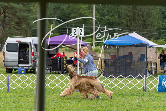 20190815-DSC08846