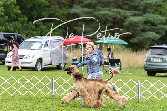 20190815-DSC08852