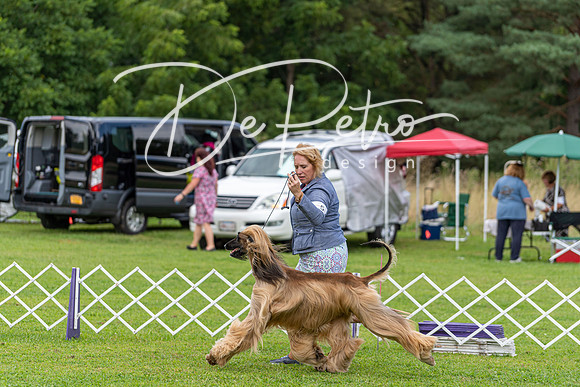 20190815-DSC08855