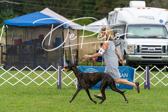 20190815-DSC08862