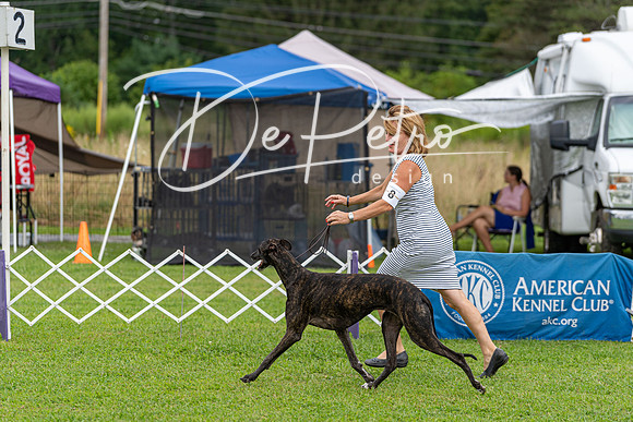 20190815-DSC08864