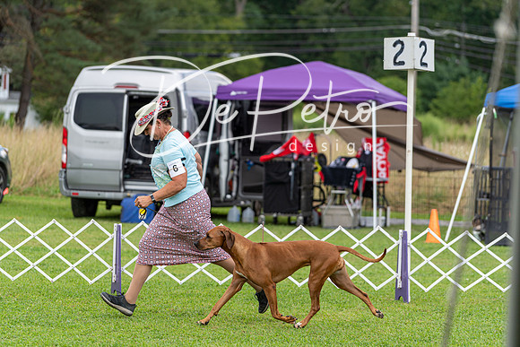 20190815-DSC08897