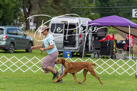 20190815-DSC08899
