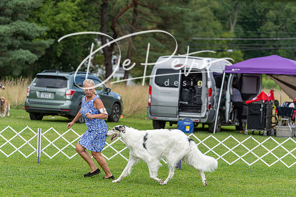 20190815-DSC08925