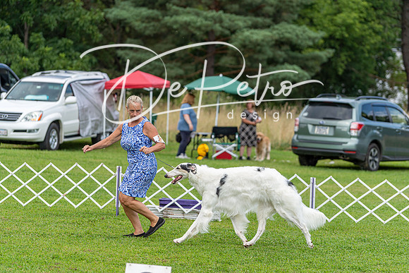 20190815-DSC08933