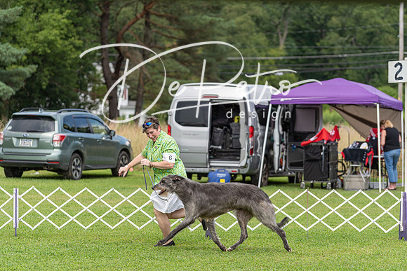 20190815-DSC08954