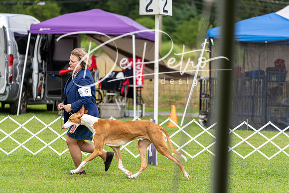 20190815-DSC08978