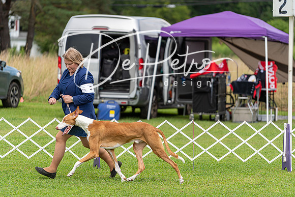20190815-DSC08982