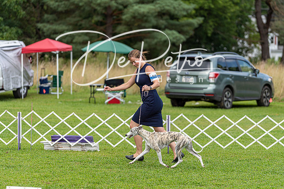 20190815-DSC09011