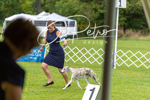 20190815-DSC09019