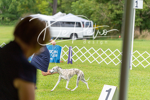 20190815-DSC09021