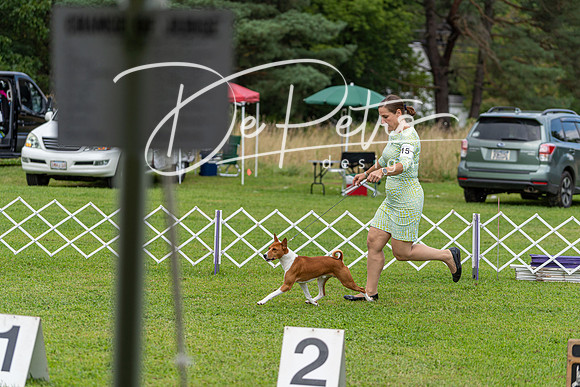 20190815-DSC09033