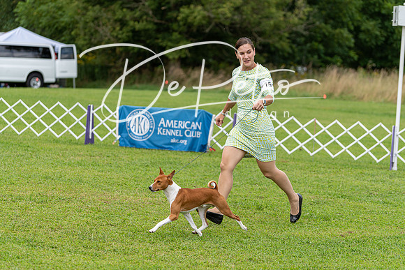 20190815-DSC09044