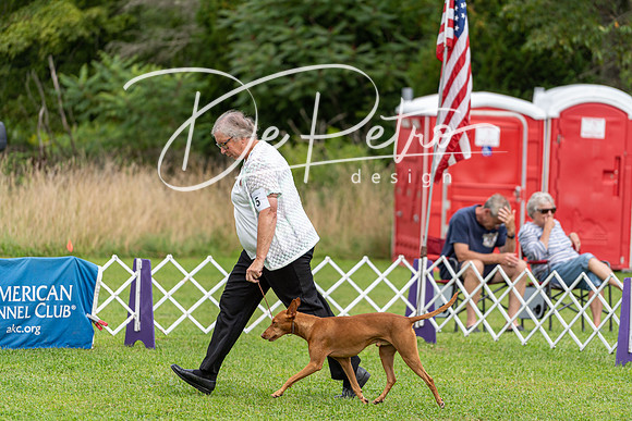 20190815-DSC09053
