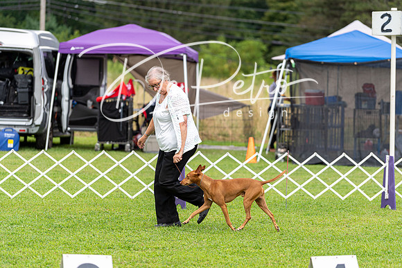 20190815-DSC09059