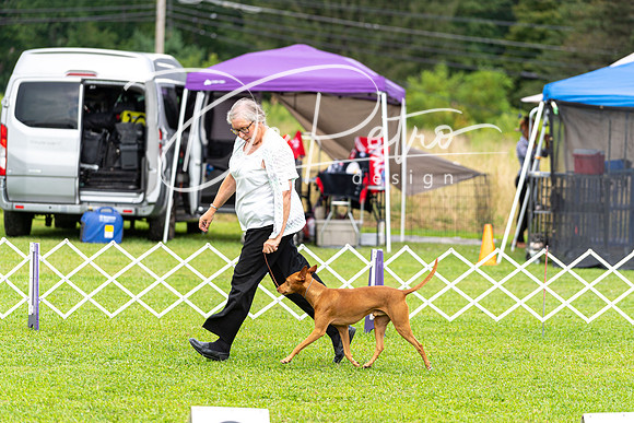 20190815-DSC09061