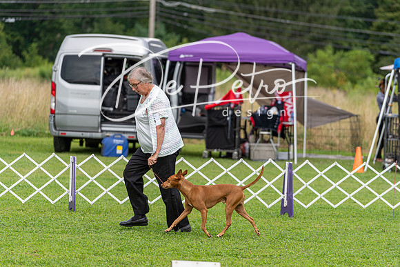 20190815-DSC09063