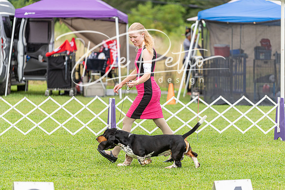 20190815-DSC09083