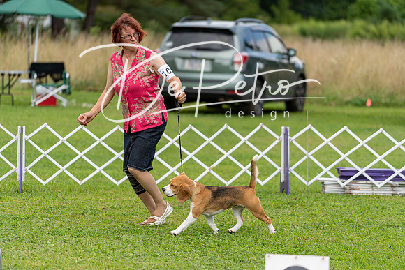 20190815-DSC09103